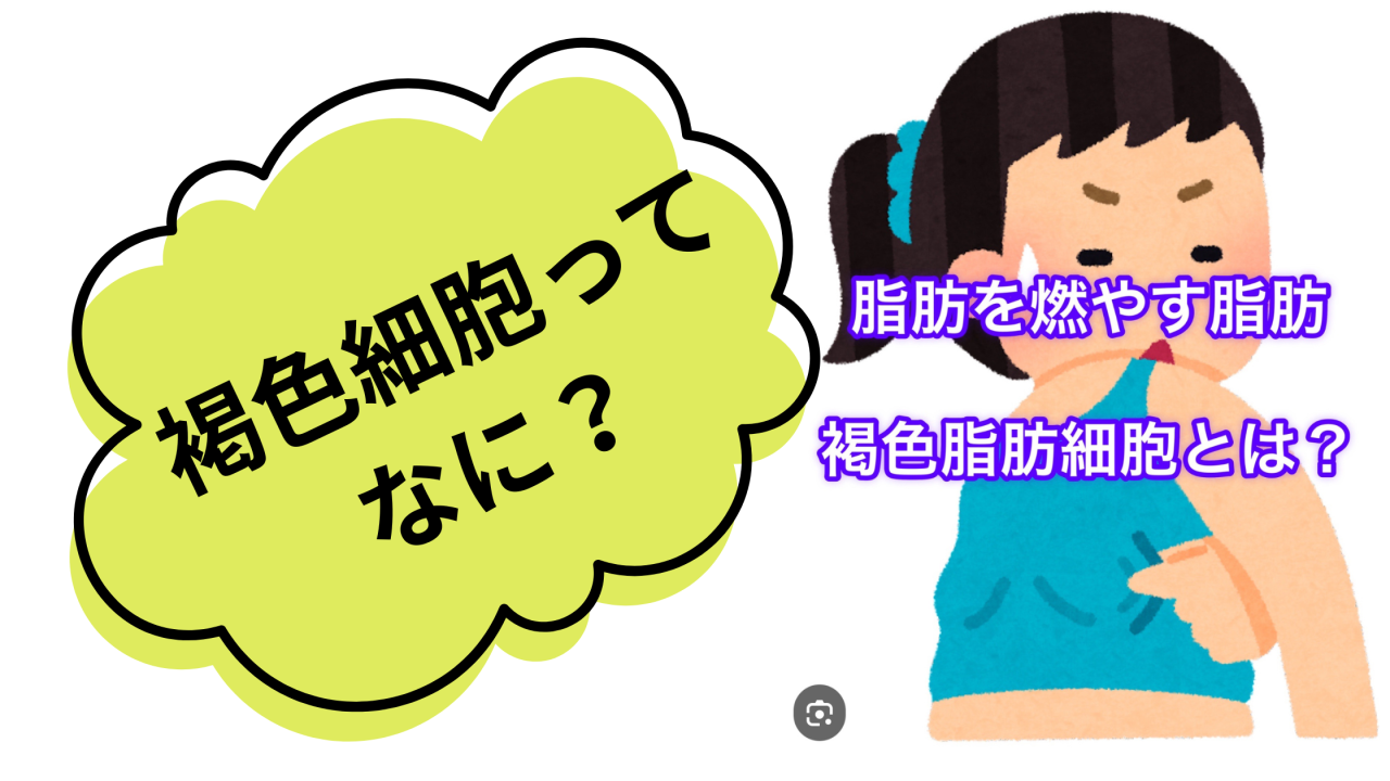 褐色細胞ってなに？？